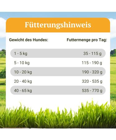 Bellfor Hypoallergenic Dry Food with Insects - Landgut-Schmaus - 2.5 kg - Buy Online on GoSupps.com