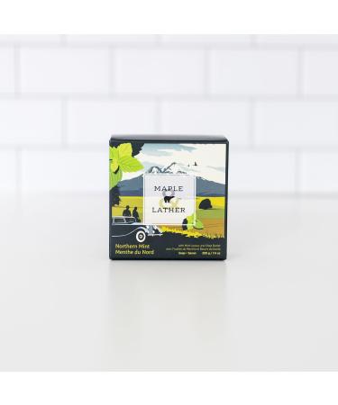 Buy Maple & Lather Triple Milled Bar Soap - Northern Mint Exfoliating & Moisturizing 209g - Sustainably Sourced from Provence France - Buy Online on GoSupps.com