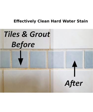 Bring It On Cleaner Hard Water Stain Remover with Scrubbing Drill Pads - Shower Door Cleaner - Buy Online on GoSupps.com