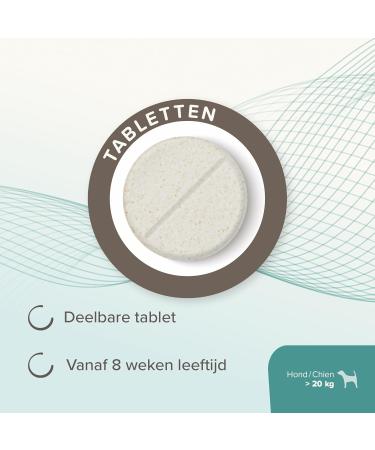BEAPHAR IntestoPro Tablets to improve stool consistency Promotes Digestion Active Ingredient of Natural Origin for Dogs ( 20 kg) 20 tablets - Buy Online on GoSupps.com