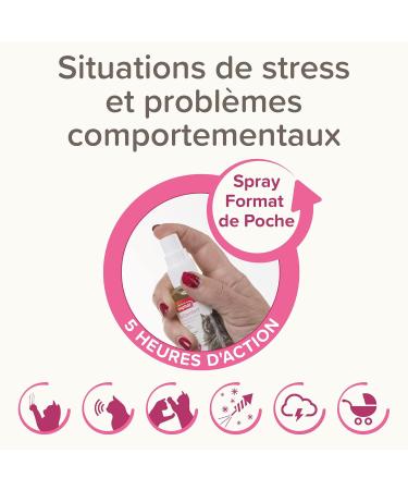 Beaphar CatComfort Calming Spray - 30ml | Soothing Spray for Cats | International Shipping Available - Buy Online on GoSupps.com