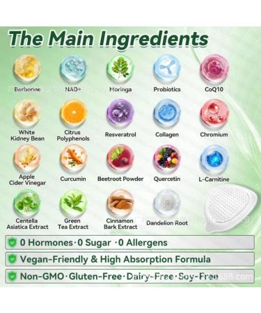 2026 new model 10-in-1 Advanced Moringa Nano Microdarts Patch Natural Body Patches for Women and Men Invisible Ultra-Thin Design 7 Pieces (4pc) - Buy Online on GoSupps.com