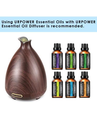URPOWER 6 Aromatherapy Essential Oils Diffuser Gift Set - Lavender, Peppermint, Sweet Orange, Eucalyptus, Tea Tree, Lemongrass - 100% Pure Oils - 10ml Each - Buy Online on GoSupps.com