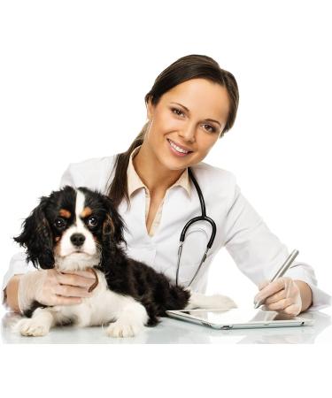 PetSilver Wound Spray - All Natural Pain Relief for Hot Spots, Wounds & Burns | Vet Formulated in USA - Buy Online on GoSupps.com