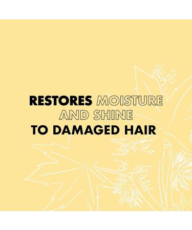 Shea Moisture Jamaican Black Castor Oil Hair Treatment Mask 355ml | Strengthen & Restore | Silicone & Sulphate-Free | For Natural, Chemically Processed, Heat-Styled Hair - Buy Online on GoSupps.com