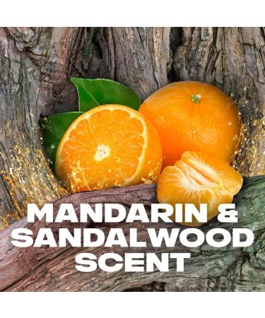 Lynx AFRICA REFRESHING Shower Gel - Pack of 2 - 17.6 Fl Oz. - Buy Online on GoSupps.com