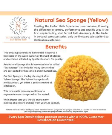 Spa Destinations Natural Sea Sponge Small 4-5 - The Ultimate Bath and Shower Experience - Buy Online on GoSupps.com