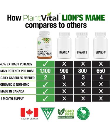 PlantVital Lions Mane Supplement Capsules - Organic Lion s Mane Mushroom Supplements with 40% Polysaccharides - Supports Immune Health and Antioxidants - 240 Count Lion's Mane 240 count (Pack of 1) - Buy Online on GoSupps.com