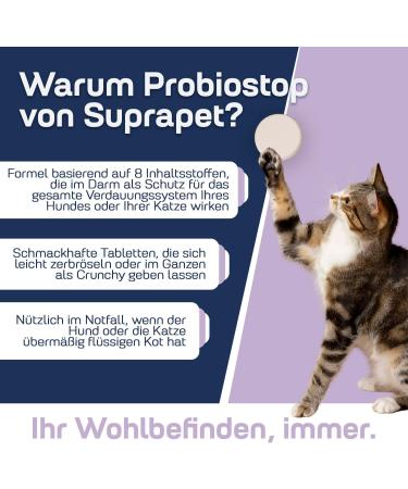 Suprapet ProBiostop - Probiotic Tablets for Dogs & Cats | 30 Natural Supplement for Gut Health with Inulin & Baobab - Buy Online on GoSupps.com