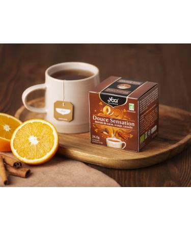  Yogi Yogi Organic Gentle Sensation 100% Organic Infusion of Cocoa Husks Orange and Cinnamon 12 Heat-Sealed Staple-Free Bags 24 g 312011 - Buy Online on GoSupps.com