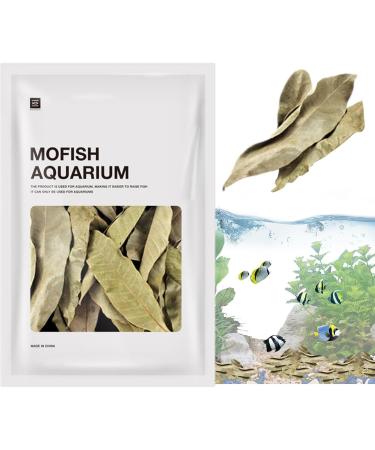 Feuilles De Longan Aquarium | Liti re Naturelle S ch e | Bioclimatiseur D'eau Pour Poissons Crustac s D cor Bain Environnement Sain Repos Animaux 1 unit (Lot de 1) - Buy Online on GoSupps.com