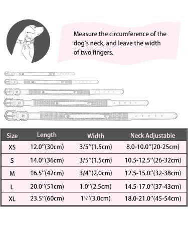 Personalized Bling Rhinestone Dog Collar | Custom Glitter Crystal Diamond | Small to XL (3.0 cm Width 45-54 cm Neck) - Senristar Violet - Buy Online on GoSupps.com