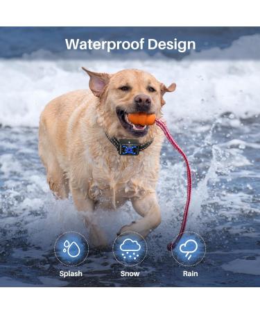 Anti Barking Dog Collars Citronella Dog Collar for Barking with Remote Smart Anti Bark Collar with 4 Training Modes Rechargeable Safe Citronella Spray Dog Barking Collar for Small Medium Large Dogs Black#XG03 - Buy Online on GoSupps.com