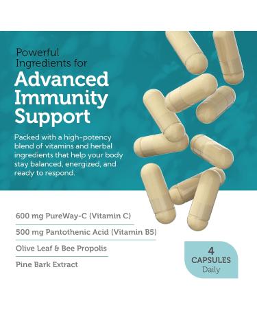 Zahler Immune Defense Immune System Support Certified Kosher 120 Capsules - Buy Online on GoSupps.com