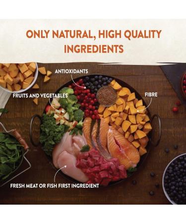 Wellness Core Original Puppy Natural and Grain-Free Large Breed Puppy Food Chicken 10 kg - Buy Online on GoSupps.com