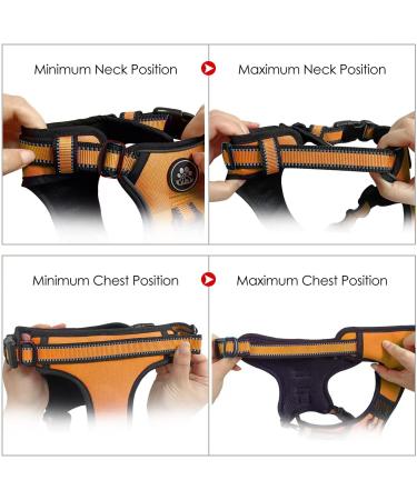 Nestroad Orange Dog Harness for Medium-Sized Dogs | Anti-Draw Padded Safety Belt | Neck 33-43cm Chest 43-64cm - Buy Online on GoSupps.com