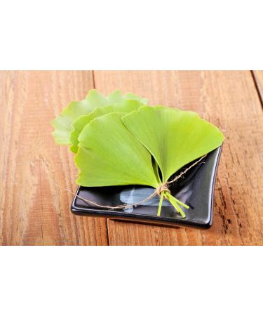 Health Embassy Ginkgo Biloba Leaf (100g) - Premium Quality Mixed Herbs | Pack of 1 - Buy Online on GoSupps.com