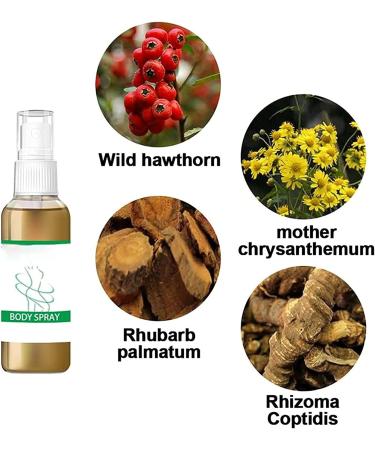 Qclowni 123 Pcs Cellulite Melting Spray Safe Cellulite Free Slimming Spray Shape Your Body to the Ideal Builtin 30ml 3 pcs 30ml - Buy Online on GoSupps.com