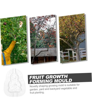 CAXUSD 3pcs Vegetable Growing Mold Small Fruit Mold Fruit Vegetable Mold Watermelon Accessories Plastic - Buy Online on GoSupps.com