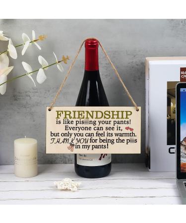 Friend Gifts For Women Under $15 | Funny Friendship Plaque for Her | Special BFF Gift | Prime Eligible - Buy Online on GoSupps.com