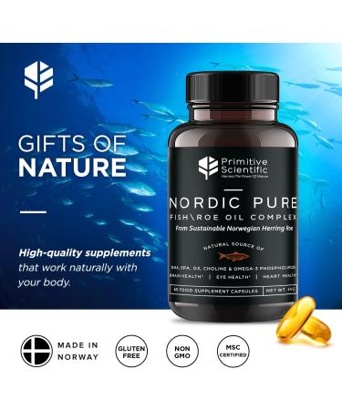 Primitive Scientific Nordic Pure Oil Complex (60 Fish Oil Capsules) for Brain, Immunity & Vision - Heart Supplement w/EPA, DHA, Vitamin D3, Choline - Omega 3 Supplements - Buy Online on GoSupps.com