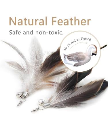 Songway Interactive Cat Toys Set - Retractable Feather Rod & 6 Replacement Springs with Bells for Ultimate Cat Fun - Buy Online on GoSupps.com