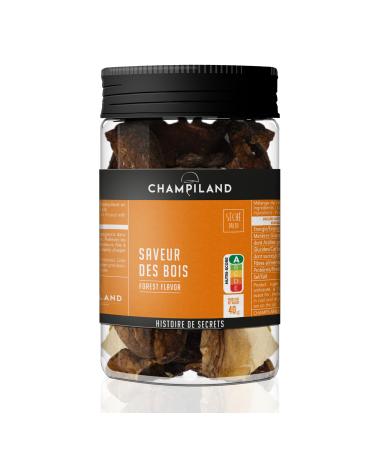 Champiland - Mix of Dried Mushrooms with Forest Flavor - Ceps, Luteus, Oyster Mushrooms, Trumpets - Hand-Sorted in the S