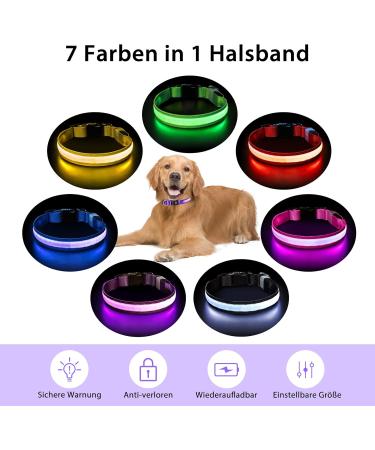 Bright Waterproof LED Dog Collar - Adjustable Luminous Neck Band for Small to Large Dogs | 7 Color Change Night Safety - Purple (38-50cm/15-19.7inch) 2022 - Buy Online on GoSupps.com
