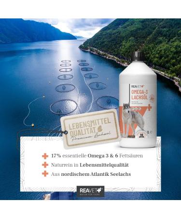 Reavet Salmon Oil for Dogs 1L - Omega 3 & 6 High Dose Additive-Free Freshly Bottled in Germany - 2024 - Buy Online on GoSupps.com