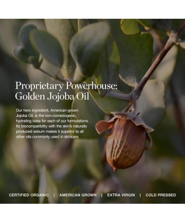 Ogee Complexion Perfecting Liquid Foundation - Lightweight Tinted Moisturizer For Face (Cedar 1.20C - Fair, Pink-Beige Undertones) - with Vitamin C & Jojoba Oil - Certified Organic & Made in USA - Buy Online on GoSupps.com