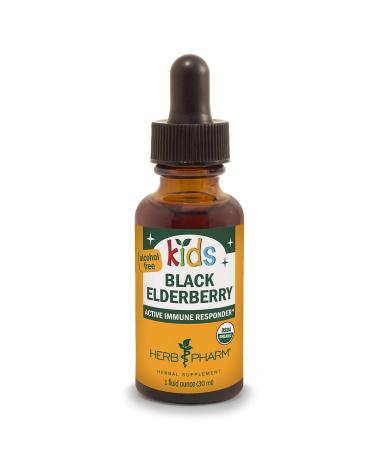 Herb Pharm Kids Black Elderberry Alcohol Free 1 fl oz (30 ml)