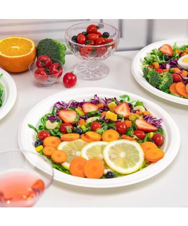 Eco Pack 125Pcs 10 Compostable Plates Eco-Friendly Heavy Duty Biodegradable Dinnerware Set Made of Bamboo Sugar Cane Fibers Disposable Wedding BBQs Picnic and Parties Plates - Buy Online on GoSupps.com