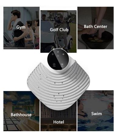 Electric Full Body Dryer Negative Ions Full Body Dryer Foot Dryer with WithWeightScale 2 Gears Adjustment Quick Air Drying Heating and Cooling for Home and Bathroom - Buy Online on GoSupps.com
