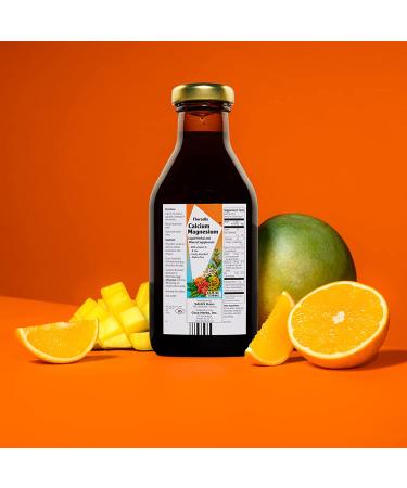Gaia Herbs Floradix Calcium Magnesium with Vitamin D & Zinc 17 fl oz - Bone Health & Wellness - Buy Online on GoSupps.com