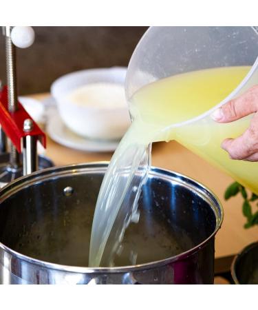 AlcoFermBrew Calcium Chloride for Cheese 100 g Efficient Additive for 500 1400 L Milk Improves Curdling and Texture of Cheese - Buy Online on GoSupps.com