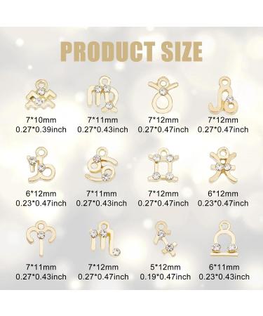 NICENEEDED 36 PCS Twelve Zodiac Nail Charms and Nail Rhinestones Pendants Set 3D Twelve Constellation Alloy Nails Art Charm Decorations Dangles Nail Pendants Jewelry for Summer DIY - Buy Online on GoSupps.com