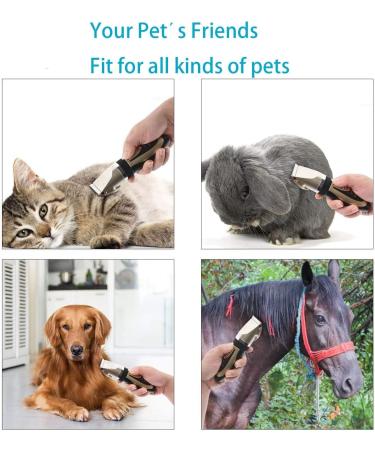 Qingxian Dog Clippers Pet Grooming Clipper Kits Low Noise Rechargeable Cordless Quiet Cat Dog Groomer Tool Professional Hair Trimmer Razor Blades with Combs Scissor - Buy Online on GoSupps.com