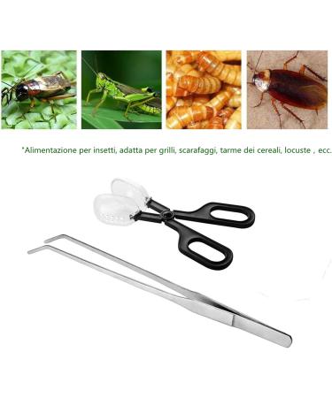 ABMRO Reptile Feeding Tool Cleaning Clamp and Long Feeding Tweezers for Hamsters Insects Turtle Snake Spider Frog Gecko Chameleon and Other Small Animals - Buy Online on GoSupps.com