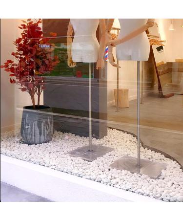 LONTOM Natural White Pebbles 2.2lb Decorative Stone Polished Gravel River Rocks for Plants Home DIY Decor Aquarium Gravel Vase Fillers Fairy Garden Crafting Animal Habitat Medium - Buy Online on GoSupps.com