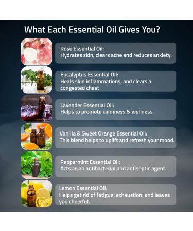 Phlox Shower Bombs - Natural Vegan & Gluten-Free Shower Steamers for Women - Aromatherapeutic Stress-Relief with Essential Oils - Buy Online on GoSupps.com