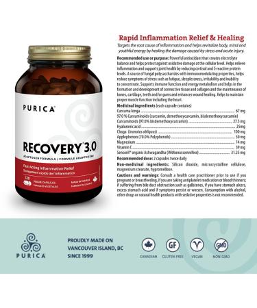 PURICA Recovery 3.0 Extra Strength - 120 Capsules for Enhanced Healing & Inflammation Support Magnesium-Rich Formula Ashwagandha Infused Vitamin C Enhanced 120 count (Pack of 1) - Buy Online on GoSupps.com