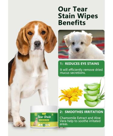 GJYC PET Large Eye Care: 120 Tear Stain Wipes for Dogs & Cats Effective Eye Wipes for Pets - Buy Online on GoSupps.com