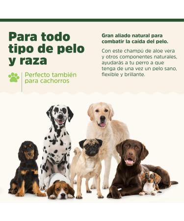 RcOcio Dog shampoo with aloe vera | Shampoo for sensitive skin 1 liter with aloe vera | Dog shampoo for odor control white or dark coats with aloe vera for dermatitis | For long or short coats also for puppies - Buy Online on GoSupps.com