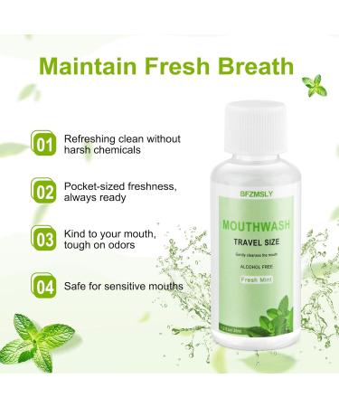 15 Pc Travel Size Mouthwash, 1.2oz/35ml Mini Mouthwash, Alcohol-Free, Portable Oral Rinse for Travel, Hotels, On-The-Go (Mint) - Buy Online on GoSupps.com
