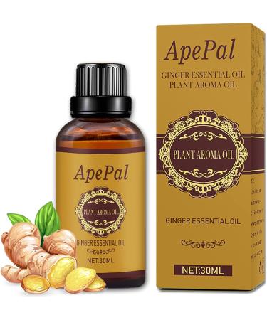 ApePal Belly Drainage Ginger Oil 30 ML - Pack Of 1