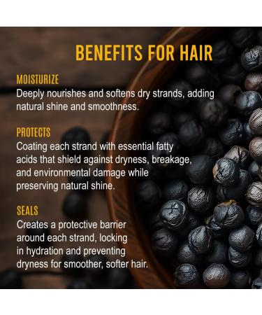 Renewalize Black Currant Seed Oil Cold Pressed 100% Pure Natural Carrier Oil for Skin & Hair | Rich in GLA & Omega Fatty Acids | Moisturizer for Face Scalp Nails | 4 fl oz - Buy Online on GoSupps.com