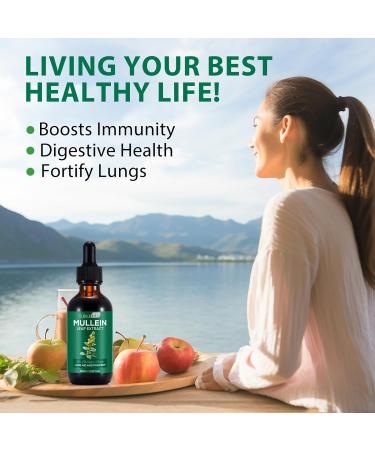 Mullein Leaf Extract for Lungs, Mullein Drops for Lungs with Chrolophyll, Support Lung, Respiratory Function for Healthy Breathing, Improvement in Pulmonary Function,Natural & Safe Supplement(1 PC) 2.02 Fl Oz (Pack of 1) - Buy Online on GoSupps.com