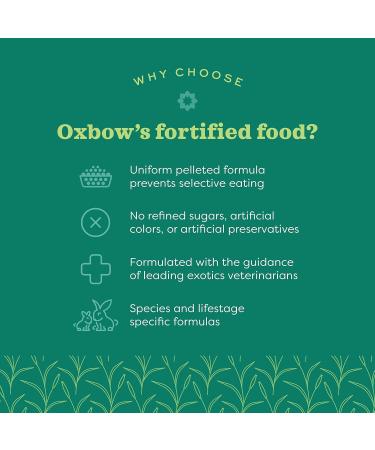 0XB0W Animal Health Essentials Ferret Food - 4 lb (2 Pack - 8 pounds Total) - Buy Online on GoSupps.com