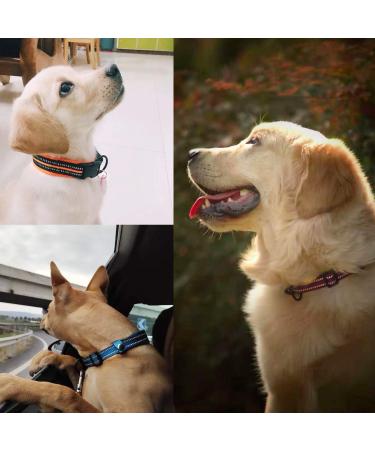 PETTOM Adjustable Nylon Dog Collar - Breathable Reflective XL Black for Dogs | Durable & Comfortable - Buy Online on GoSupps.com