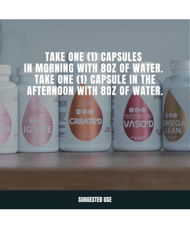 Sweat Ethic Ignite Thermogenic Support Formula with Advantra Z Green Tea Extract and Yohimbe Bark Daily Energy Focus Support for Active Lifestyles Easy-to-Take Capsules for Men & Women 60 Ct - Buy Online on GoSupps.com